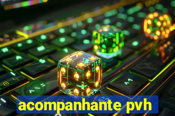 acompanhante pvh